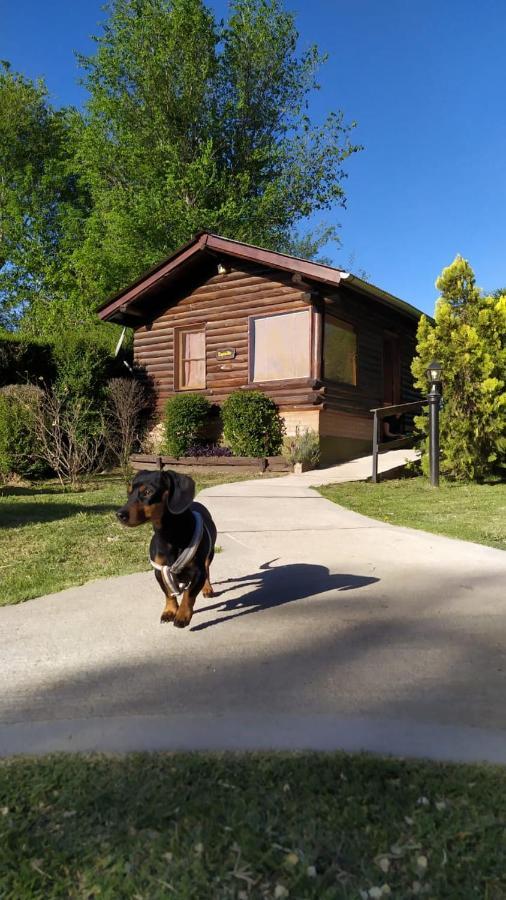 Cabanas Cultura Serrana Santa Rosa de Calamuchita Zewnętrze zdjęcie